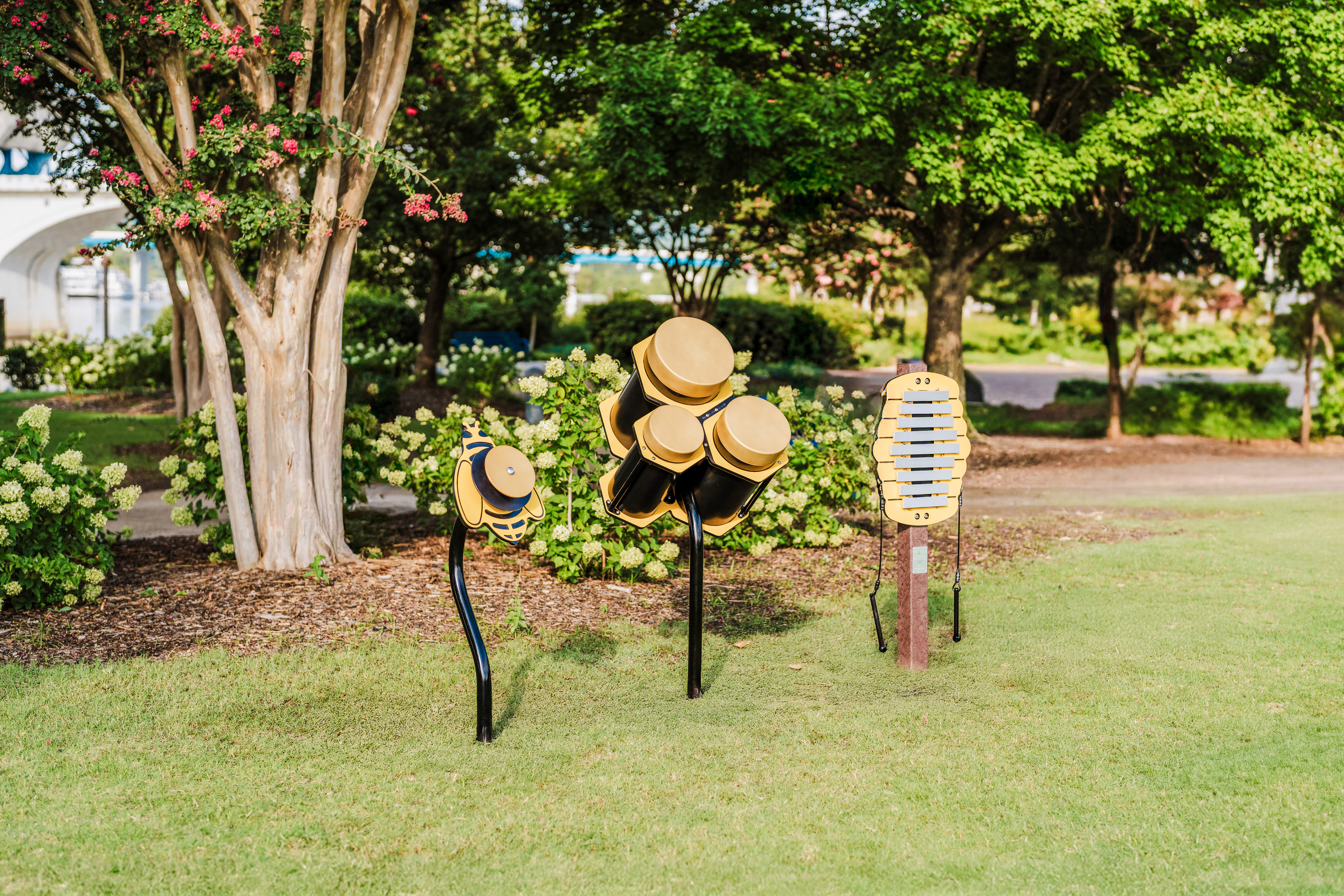 Honeycomb Congas with Melody Bee and Harmony Hive
