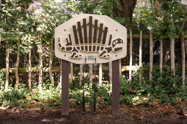 Dimetrodon