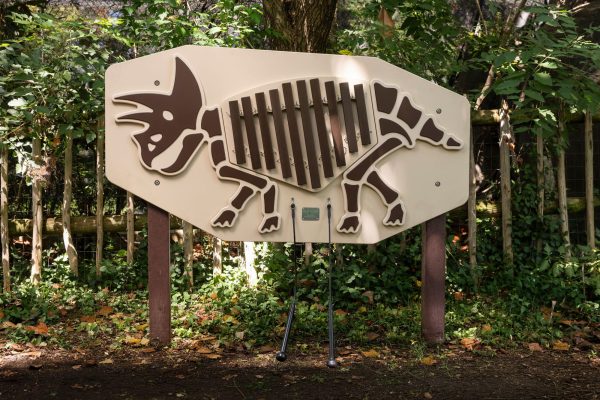 Triceratops