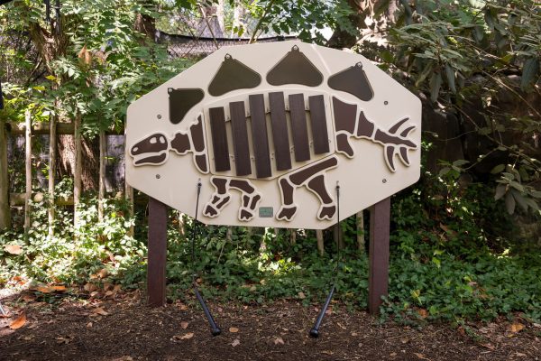 Stegosaurus