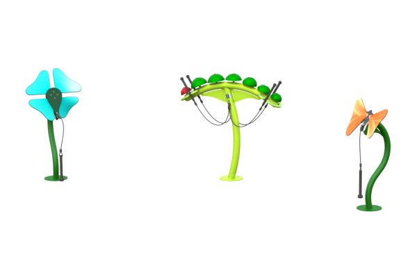 Metamorphosis Ensemble