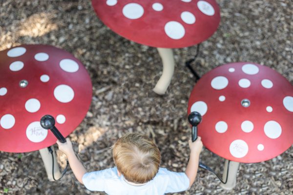 Play Core Harmony Park Day 2 36 by 161 Photography